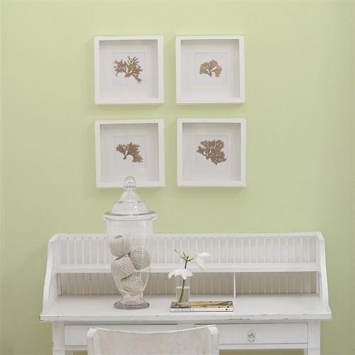 Краска Designers Guild цвет Williams Pear 111 Perfect Eggshell 1 л