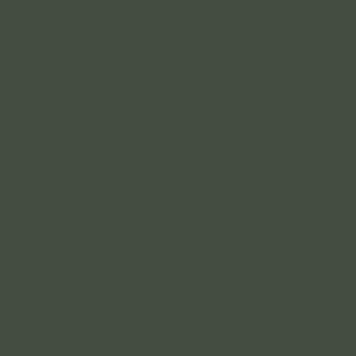 Краска Swiss Lake цвет Black Spruce SL-2719 Intense resistance plus 2.7 л