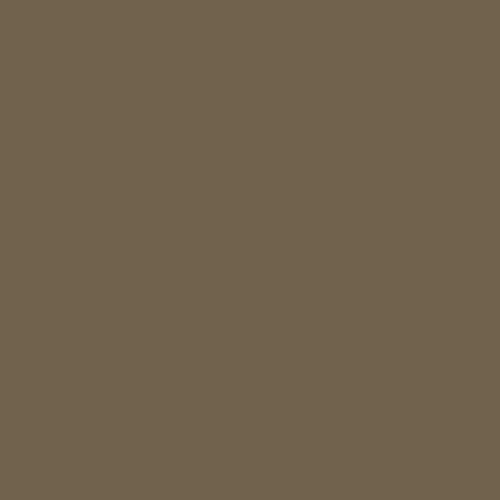 Краска Argile цвет Mousseron Des Bois V02 Mat Profond 2.5 л