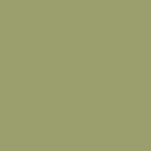Краска Swiss Lake цвет Cactus SL-2554 Semi-matt 20 2.7 л