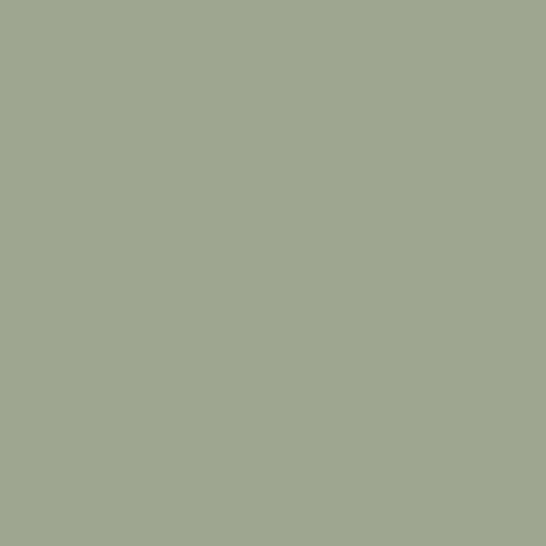 Краска Swiss Lake цвет Frosty Green SL-2638 Intense resistance plus 9 л