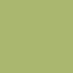 Краска Swiss Lake цвет Lime Green SL-2492 Semi-matt 20 0.9 л