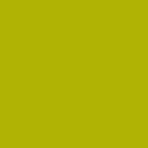Краска Argile цвет Houblon Dore V51 Mat Veloute 2.5 л