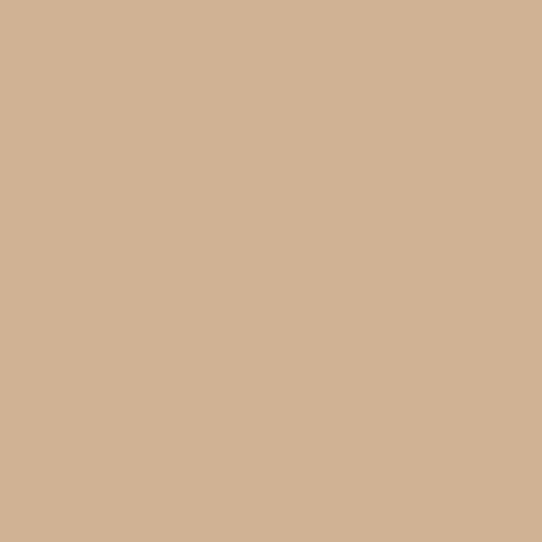 Краска Swiss Lake цвет Nutmeg Coffee NC21-0353 Special Facade & Socle 9 л