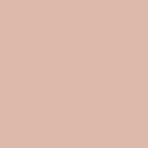 Краска Swiss Lake цвет Peach Ash SL-1605 Intense resistance plus 0.9 л