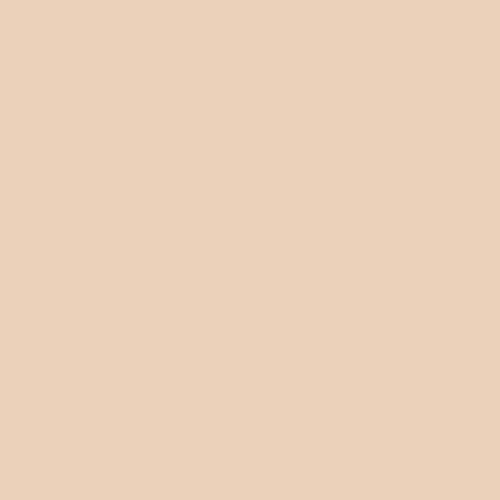 Краска Argile цвет Argile Brulee T424 Mat Veloute 0.75 л
