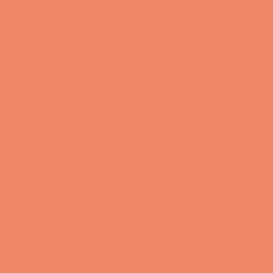 Краска Swiss Lake цвет Electric Orange SL-1492 Semi-matt 20 0.9 л