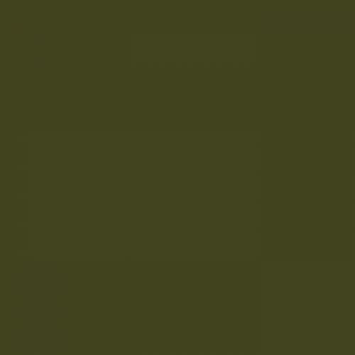 Краска Little Greene цвет Olive Colour 72 Traditional Oil Gloss 1 л купитьпо цене 4500 ₽