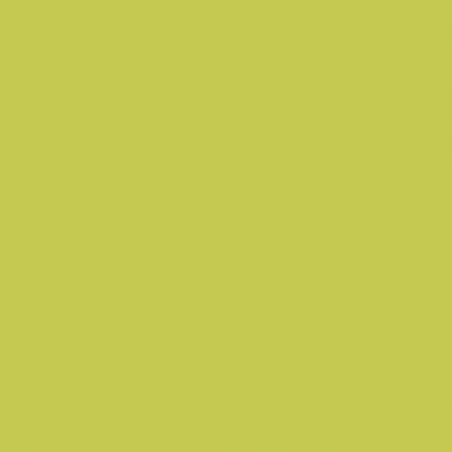 Краска Little Greene цвет Pale Lime 70 Exterior Masonry 10 л