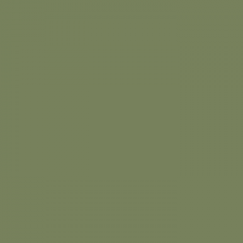 Краска Little Greene цвет Sage Green 80 Ultimatt 10 л