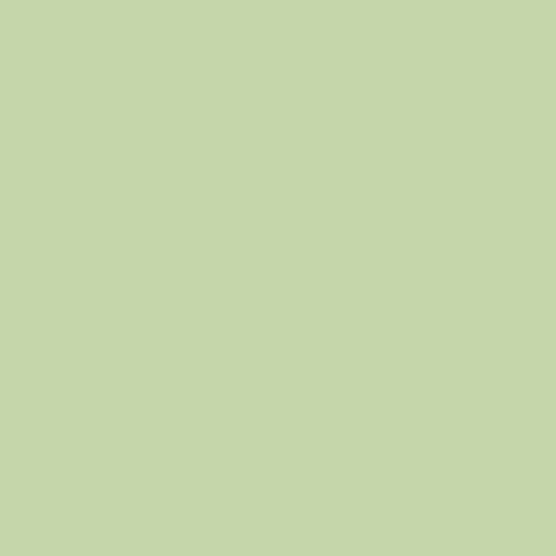Краска Lanors Mons цвет NCS  S 1020-G40Y Eggshell 1 л