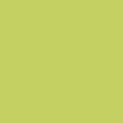 Краска Lanors Mons цвет NCS  S 1050-G60Y Exterior 4.5 л