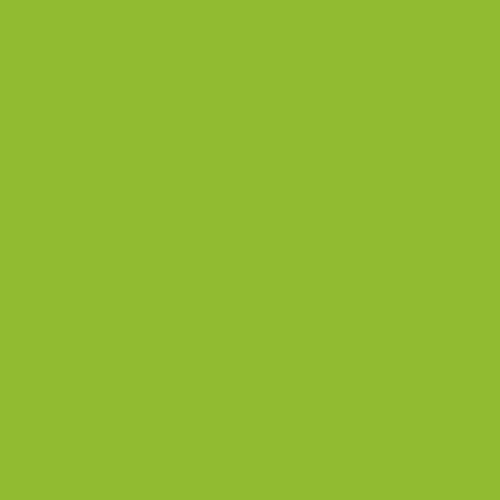 Краска Lanors Mons цвет NCS  S 1070-G40Y Exterior 4.5 л