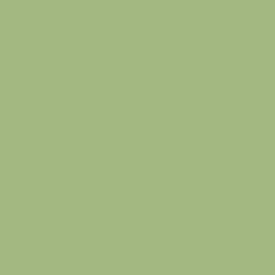 Краска Little Greene цвет NCS  S 2030-G40Y Absolute Matt 0.25 л
