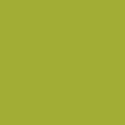 Краска Little Greene цвет NCS  S 2060-G60Y Intelligent Gloss 1 л