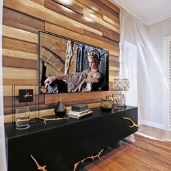 Пример оформления стеновыми 3D-панелями Modern Decor