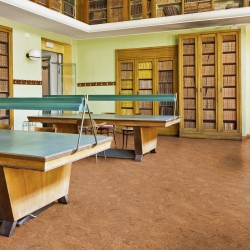 Пробковый пол клеевой Wicanders Cork Pure Originals Accent AJ9Z002 600×300×6