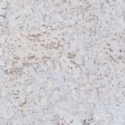 Пробковая стеновая панель IberCork Порто Невада 600×300×3