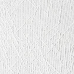 Обои под покраску New Company Antivandal 4010-35 25×1,06