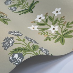 Обои York Rifle Paper Co. Second Edition Mughal Rose RP7350 8,22×0,68