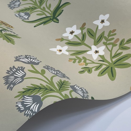 Обои York Rifle Paper Co. Second Edition Mughal Rose RP7350 8,22×0,68