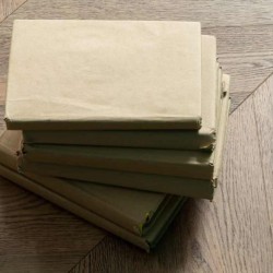 Кварцвиниловая плитка Vinilam клеевая Parquet Chevron Glue Шеврон Нормандия RI153610CL4 французская елка 690×115×2,5