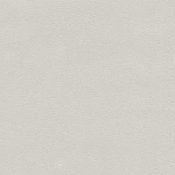 Обои Marburg Fresh Up 42020 10,05×0,53