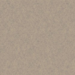 Обои Loymina A La Prima Denim PM10 004 10,05×1