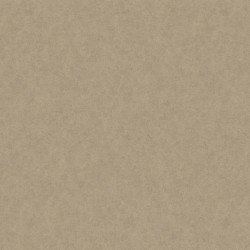 Обои Loymina A La Prima Denim PM10 012 10,05×1