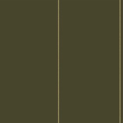 Обои Loymina Equator Lines QTR9 005 10,05×1