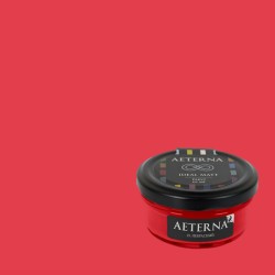 Краска Aeterna цвет Некрасный 25