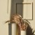 Краска Lanors Mons цвет Beeswax 190 Satin 4.5 л фото в интерьере