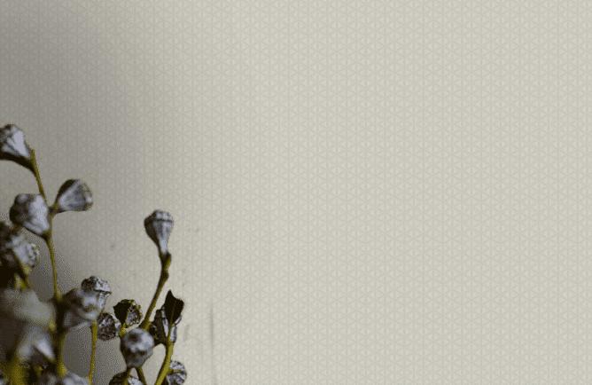 Обои Collins & Company Opulent ON40808 Обои Collins & Company Opulent ON40808