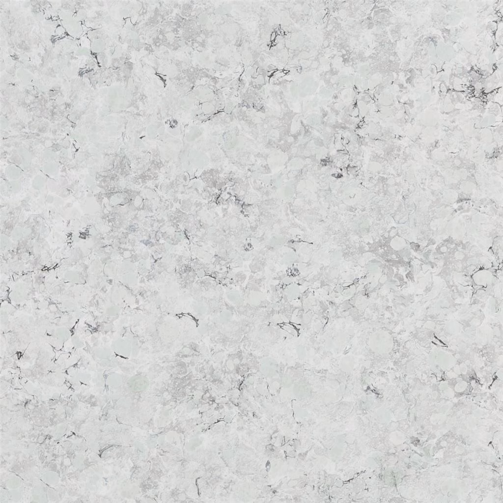 Обои Designers Guild Majolica Lustro Zinc PDG1025/06