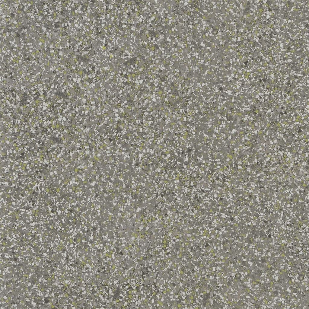 Обои Designers Guild Tulipa Stellata Pavonazzo Birch PDG1031/02