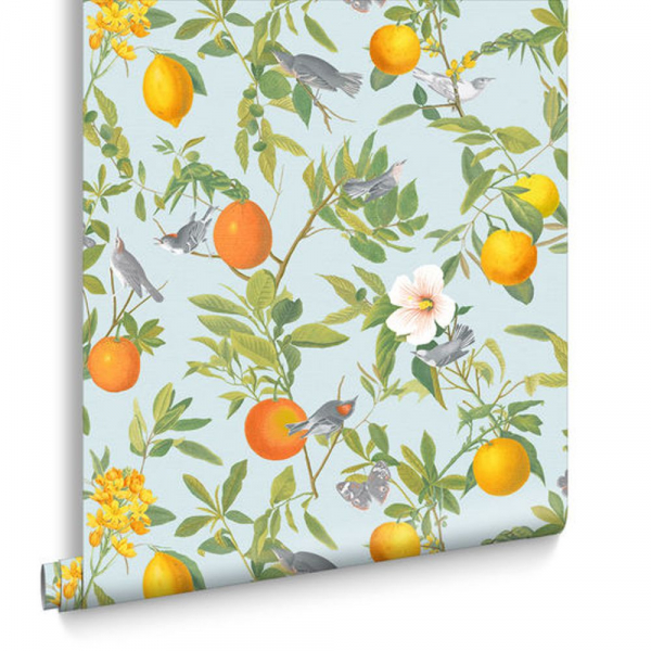 Обои Graham & Brown Curiosity 105640