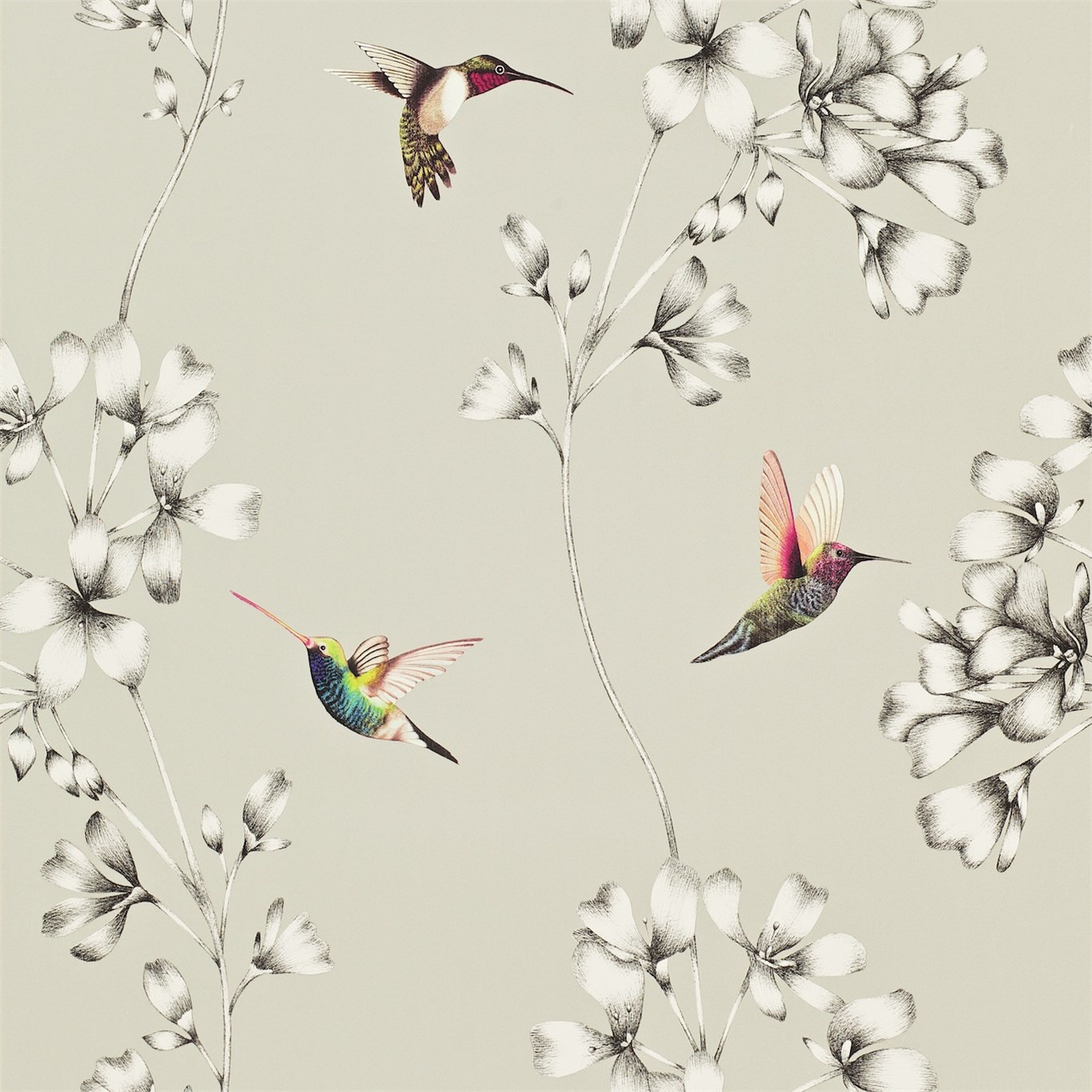 Обои Harlequin Amazilia Silver 111062