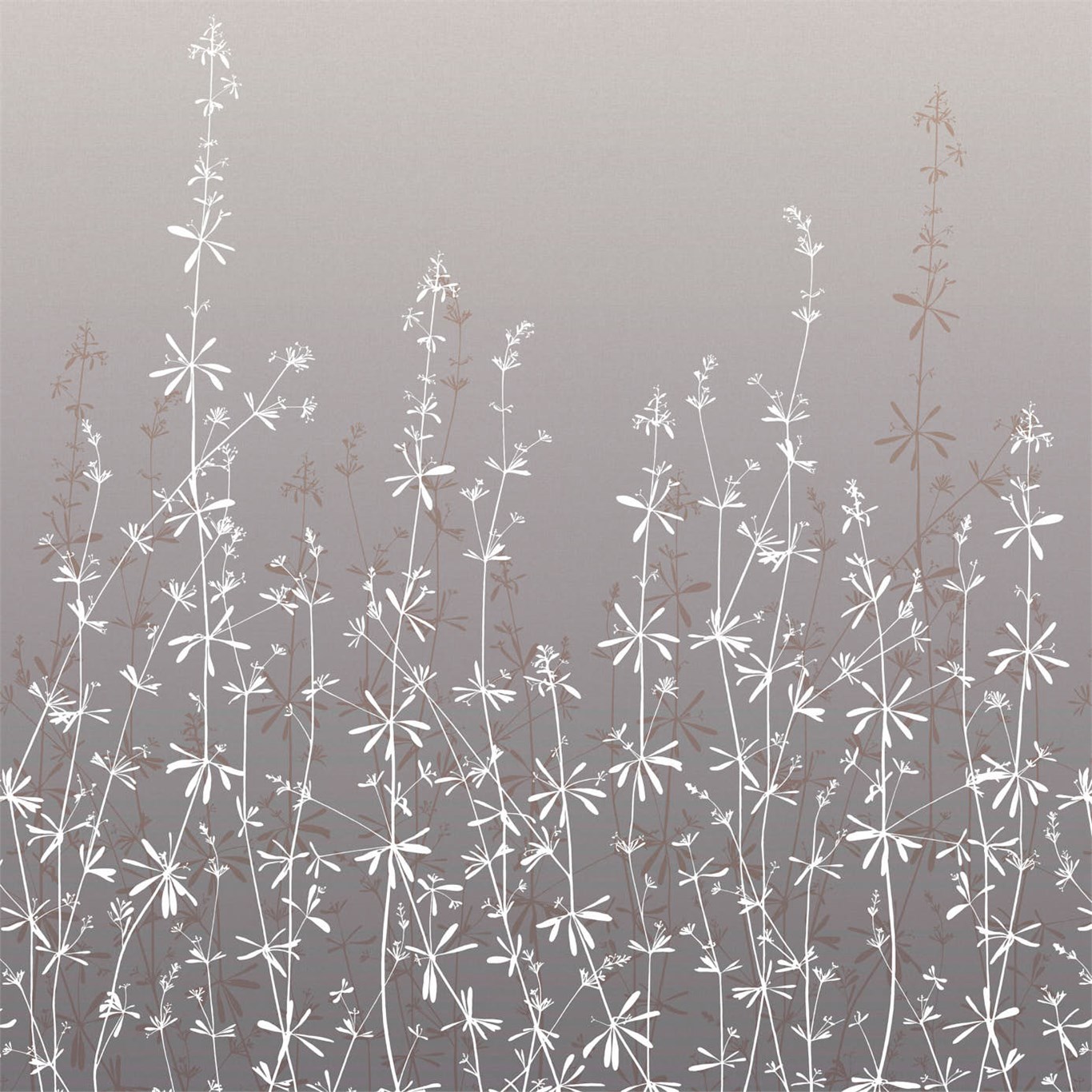 Обои Harlequin Callista Hortelano Moonstone/Pearl 111411