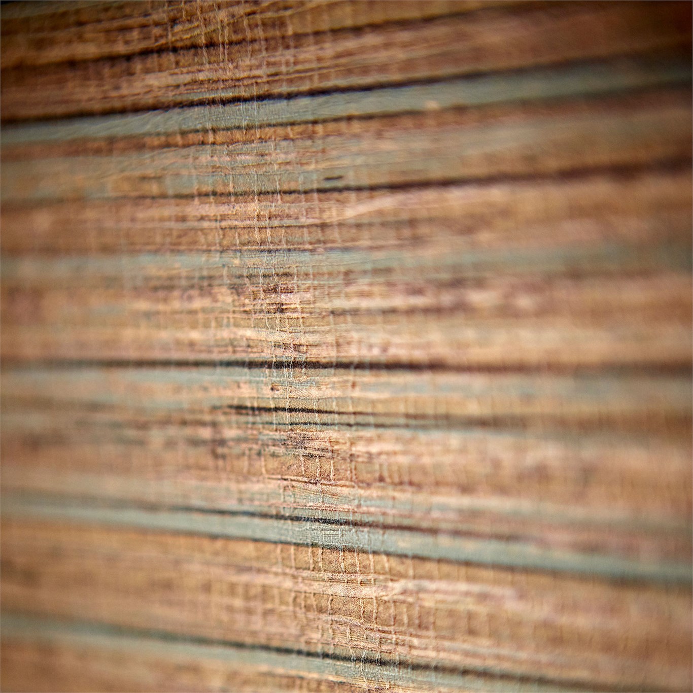 Обои Harlequin Tresillo Oralia Cupra 111439 фото в интерьере