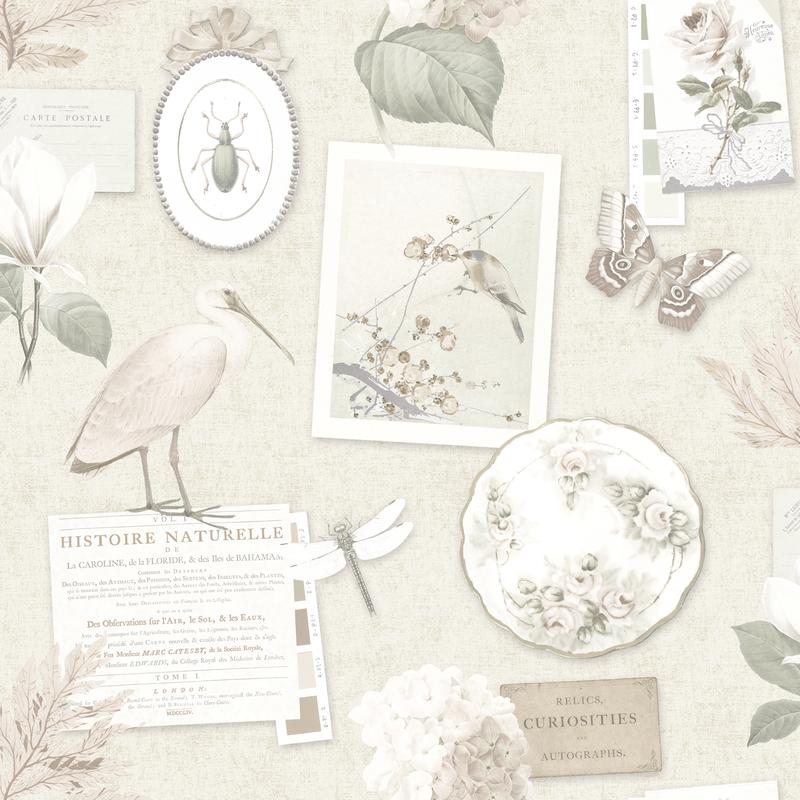 Обои Holden Imaginarium Curiosity Collage Sepia 12372