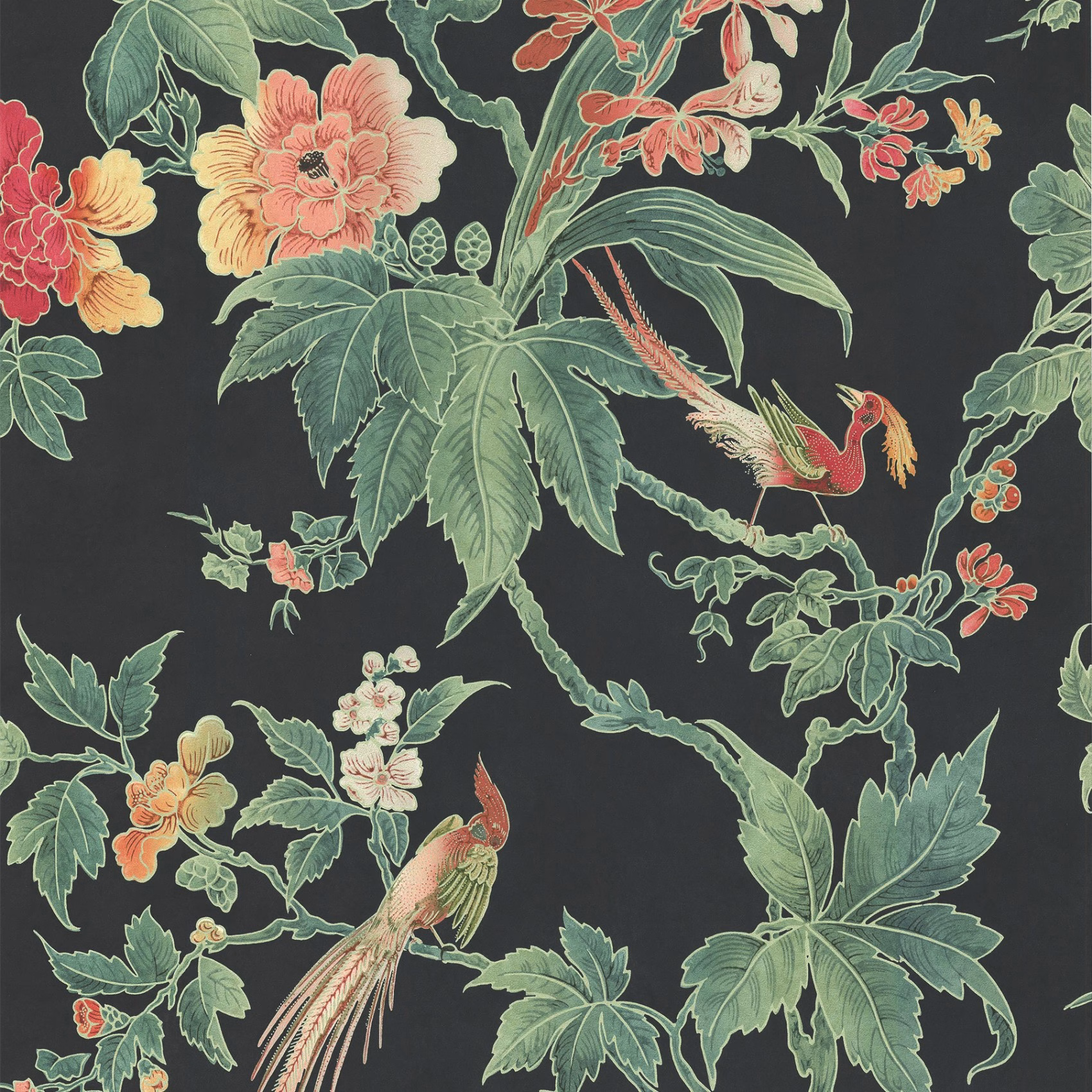 Обои Little Greene Archive Trails Paradise − Nightshade 0247PANIGHT