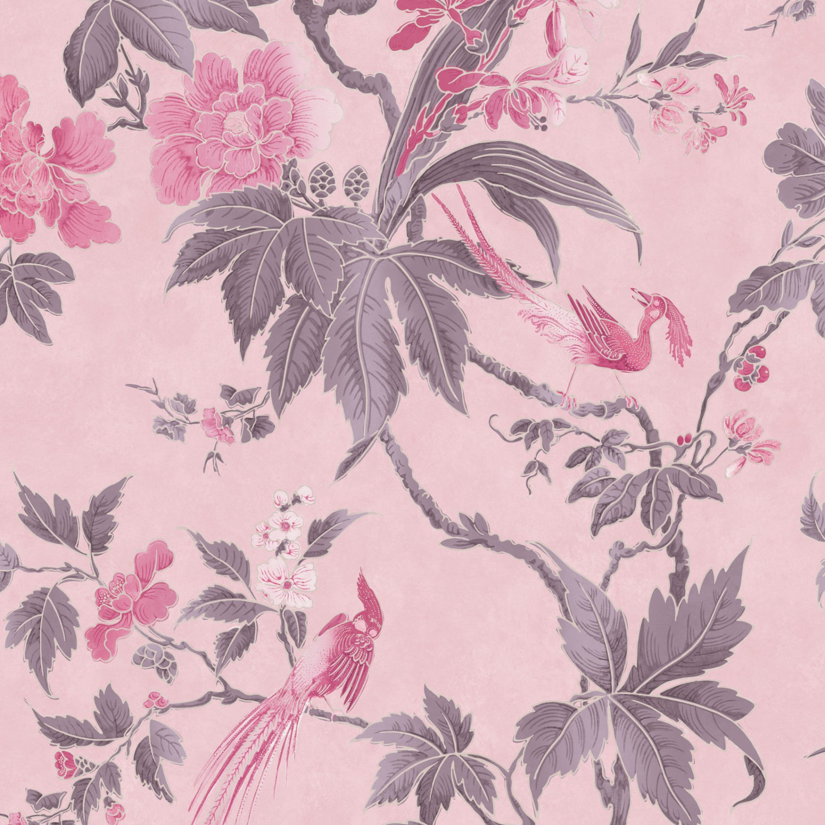 Обои Little Greene Archive Trails Paradise − Pink 0247PAPINKZ