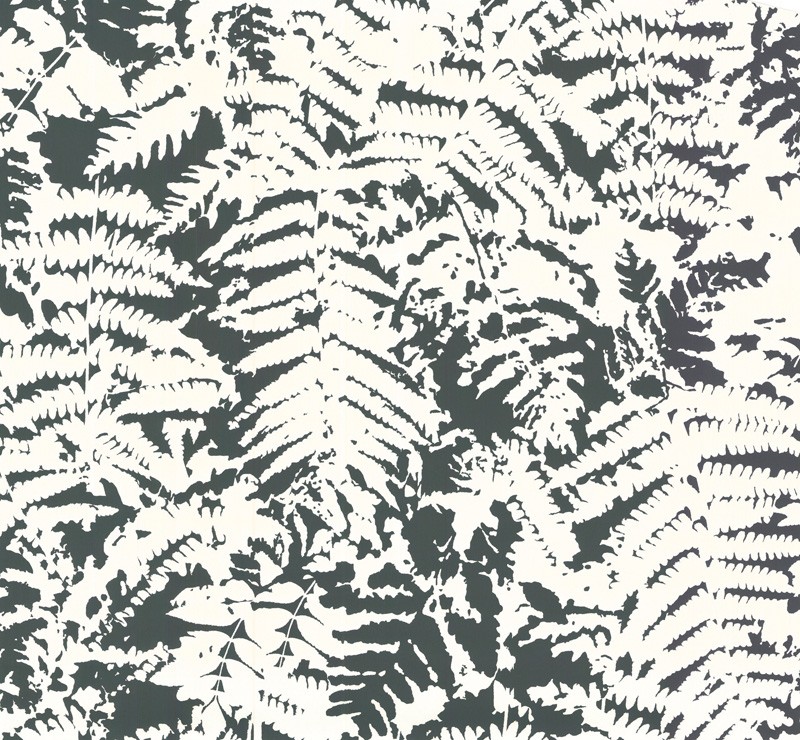 Обои Little Greene 20th Century Papers Fern - Off Black 0280FEOFFBL