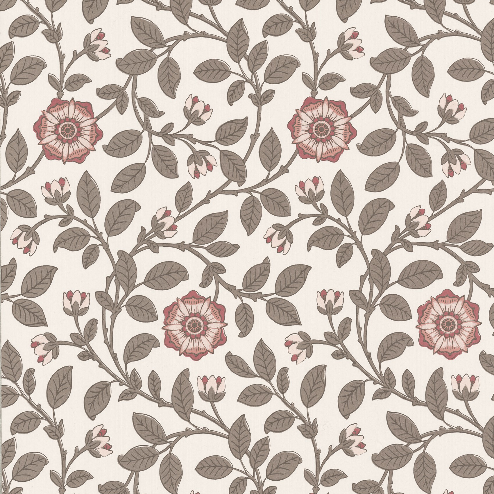 Обои Little Greene London Wallpapers IV Richmond Green − Stella 0251RGSTELL