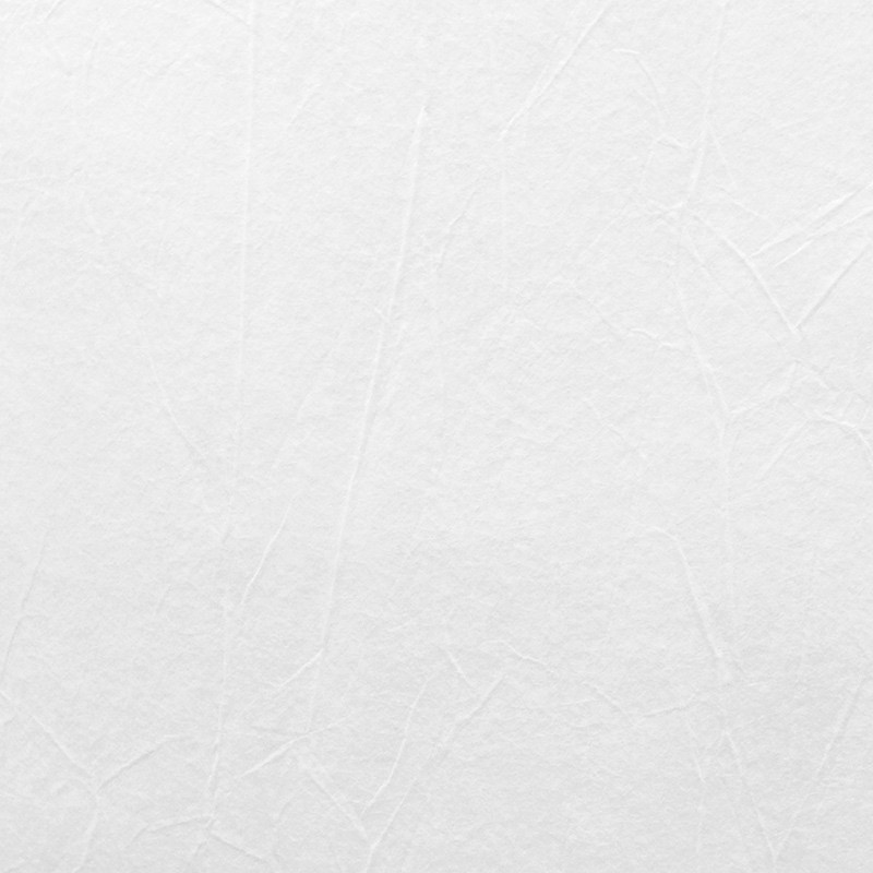 Обои под покраску Marburg Patent Decor 1889