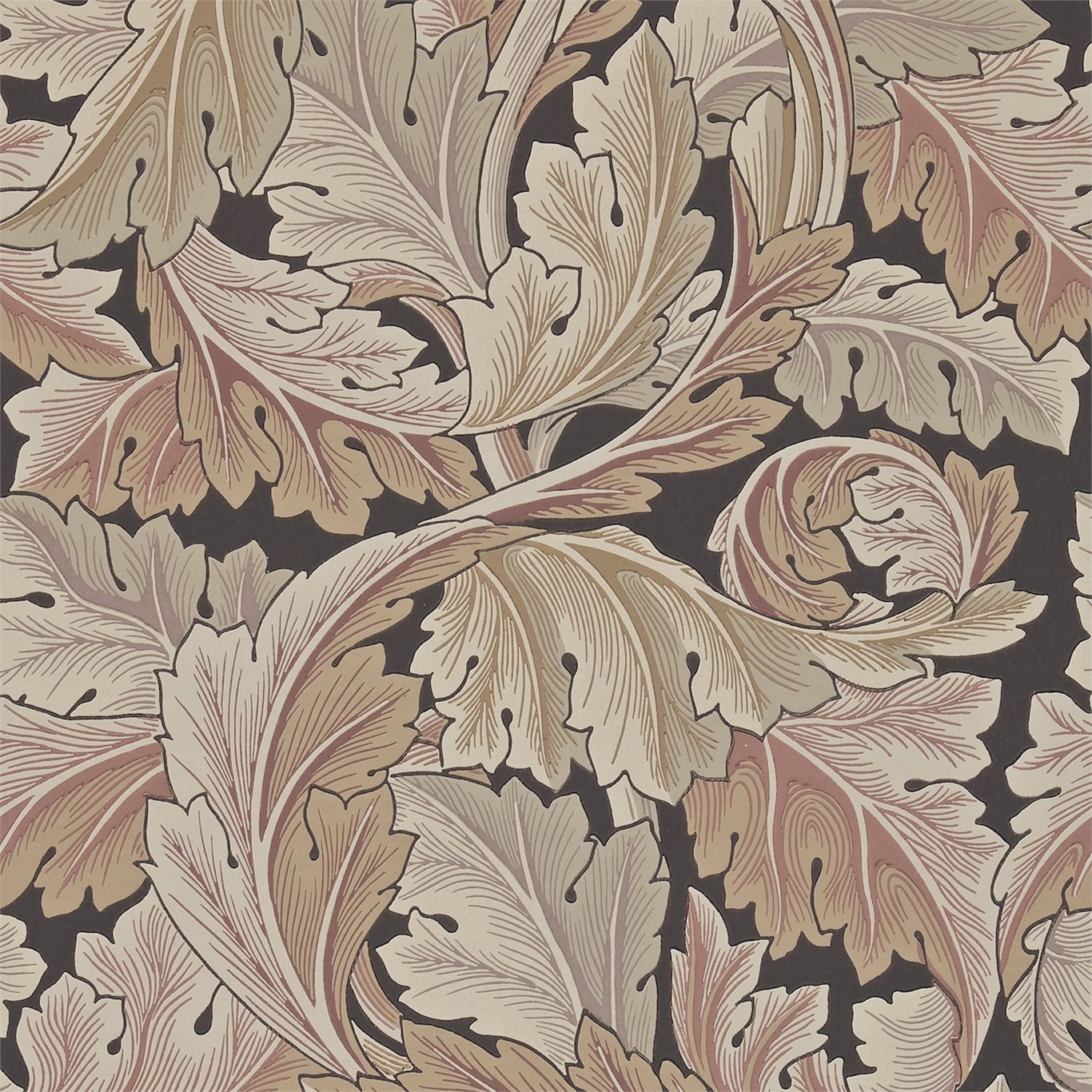 Обои Morris Archive Wallpapers II Acanthus 212551