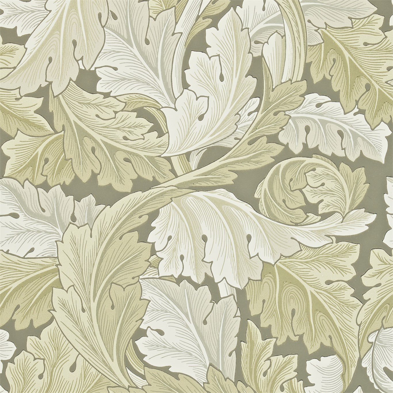 Обои Morris Archive Wallpapers II Acanthus 212552