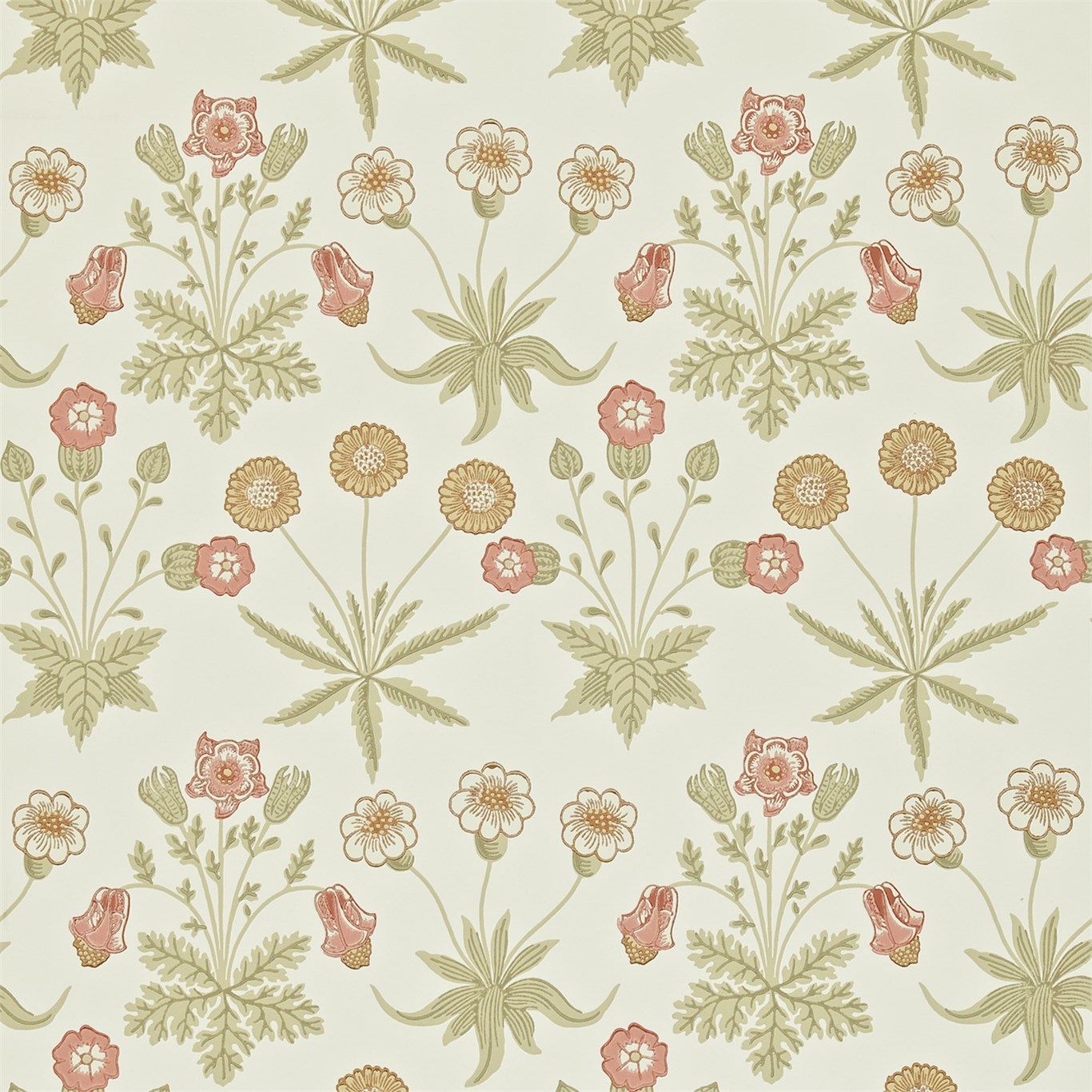 Обои Morris Archive Wallpapers II Daisy 212560