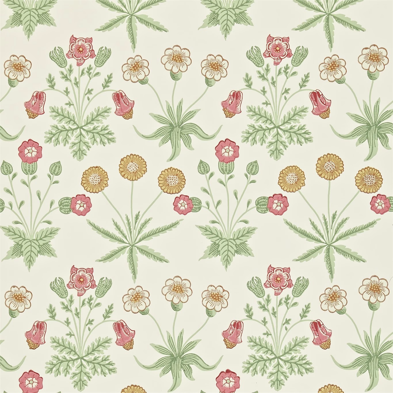 Обои Morris Archive Wallpapers II Daisy 212562