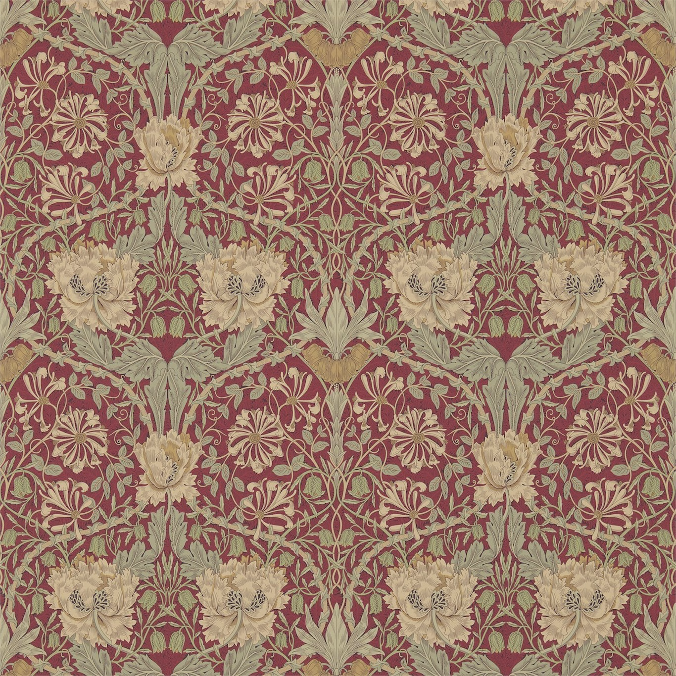 Обои Morris Archive Wallpapers III Honeysuckle & Tulip 214700